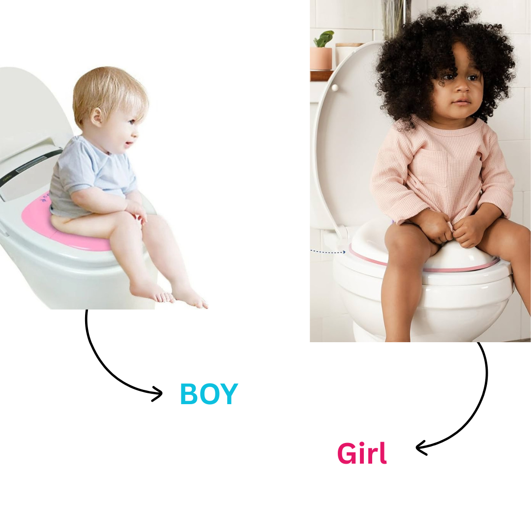 Portable Baby Potty Training Seat